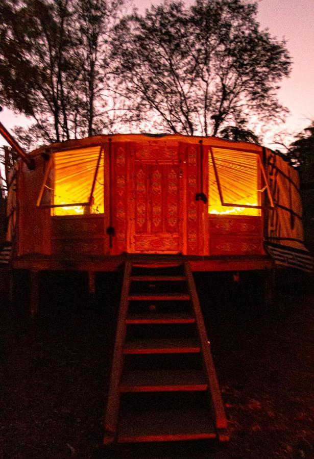 Luxury tent Purling Brook Falls Gwongorella