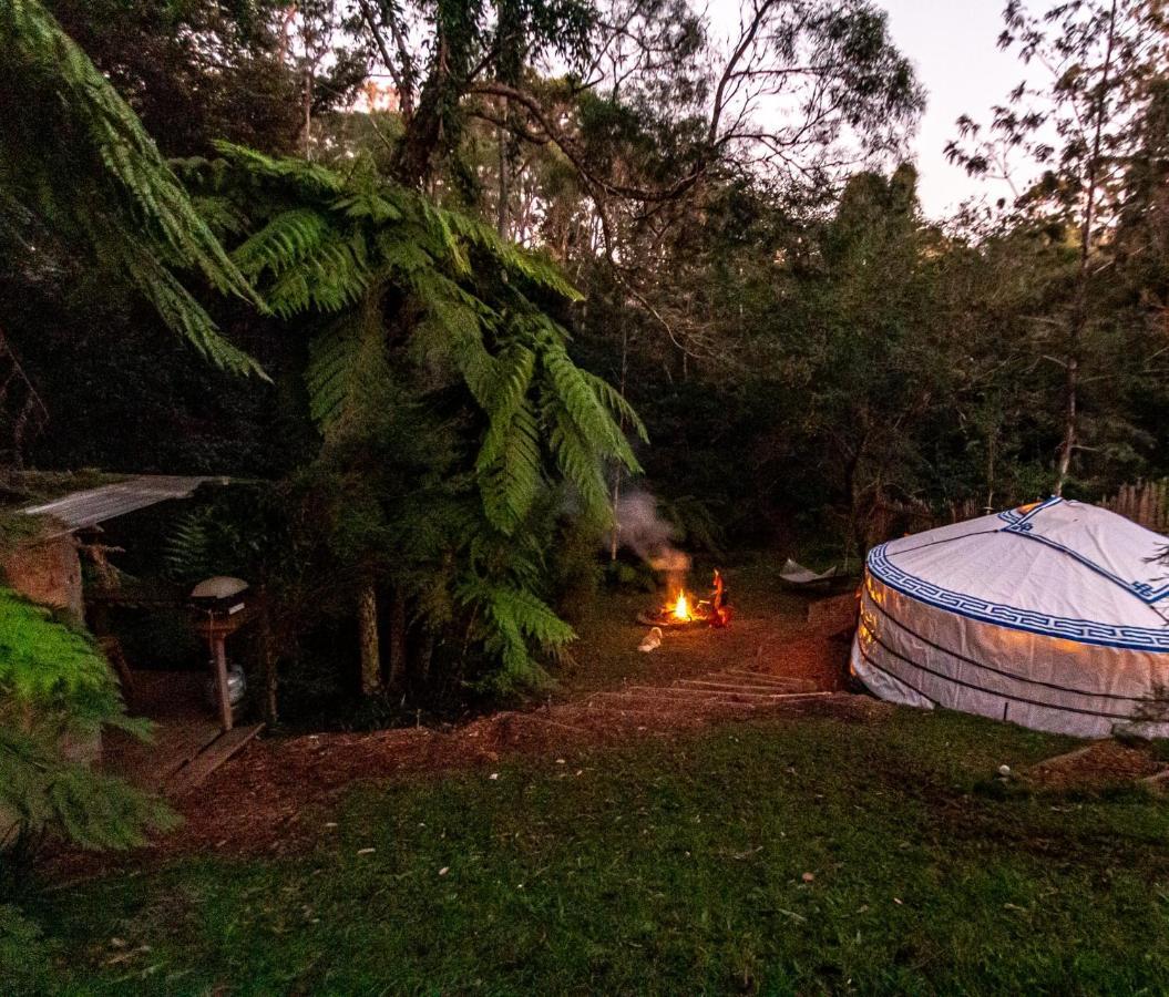 Purling Brook Falls Gwongorella Luxury tent *