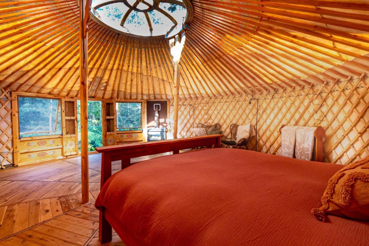 Luxury tent Purling Brook Falls Gwongorella