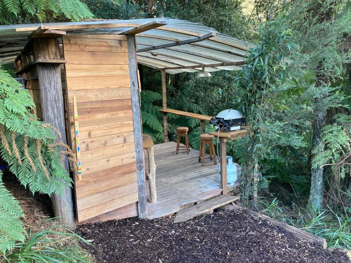 Purling Brook Falls Gwongorella Luxury tent Springbrook