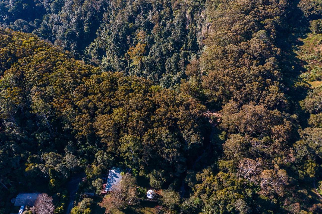 Purling Brook Falls Gwongorella Luxury tent Springbrook